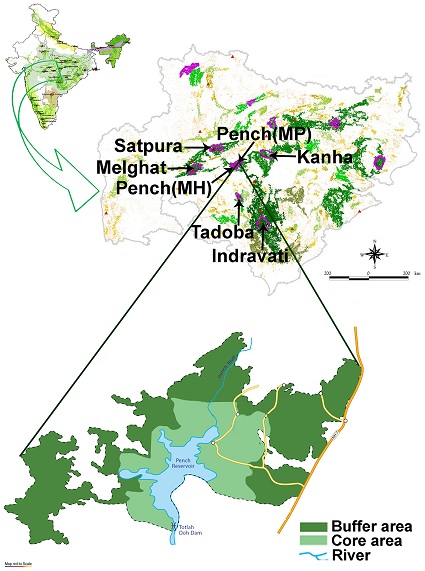 Satpura Tiger Reserve